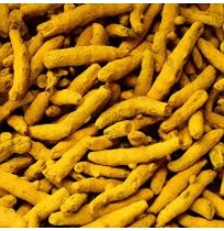 Sabut Haldi